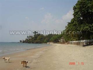 Villa Rayong - Villa - Rayong - 