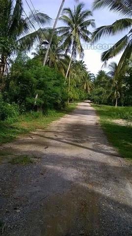 land beach thailand